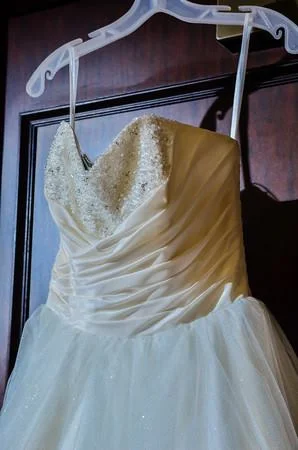 Limited Time Alfred Angelo Cinderella 205