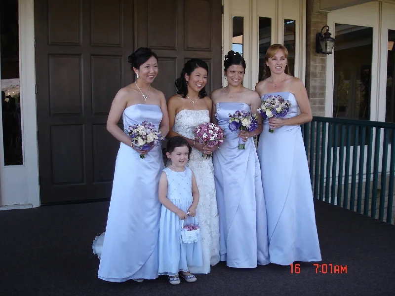 Buy Now David's Bridal 8567