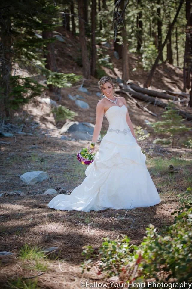 Steals and Deals Alfred Angelo Fairy Tale Ball Gown